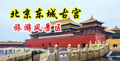 C逼视频网站中国北京-东城古宫旅游风景区