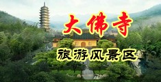 把你的鸡巴插进来免费看视频中国浙江-新昌大佛寺旅游风景区